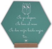 Tekstbord Babykamer - Kinderkamer Wandhanger Accessoires - Quote Ik Ga Slapen - Leuk Kraamcadeau - Geboorte Cadeautje - 17 x 15 cm - Pastelgroen