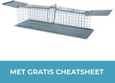 BSI - Rattenvangkooi - Rattenval - Metaal - 2 Ingangen - Met Gratis Cheatsheet