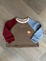 Sweatshirt baby - trui - sweater - rood - bruin - blauw - leeuw print - maat 74 - jongens - newborn kleding - babykleding - baby jongen cadeau
