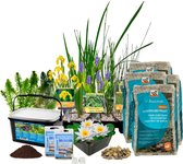VDVELDE Vijverplanten Pakket - voor ca. 2000 liter water - 36 Winterharde Waterplanten - Inclusief Grond, Substraat, Bacteriën, Vijvermanden, Voeding en Benodigdheden - Van der Vel