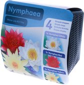 Waterlelie Mix - Nymphaea - Complete Doe-Het-Zelf Set - Mix van 3 Waterlelies - Complete Kit Inclusief Vijvermand, Vijveraarde en Vijvergrind - In droogverpakking