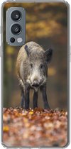 Geschikt voor OnePlus Nord 2 5G hoesje - Wild dier - Bos - Herfst - Siliconen Telefoonhoesje