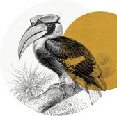 Muursticker Great Hornbill by Meyers Konversations-Lexikon 1897 Gold -Ø 80 cm