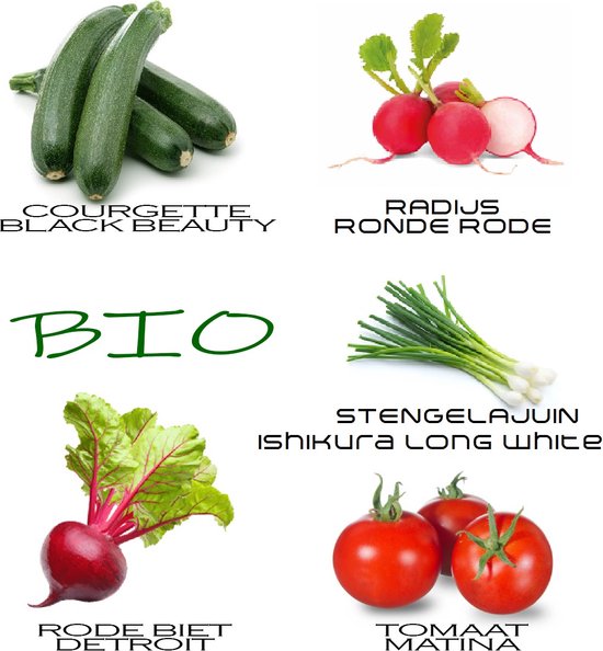 Set de Graines BIO - Top 5 des graines de légumes Bio | bol.com