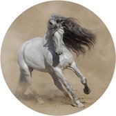 Muursticker Prachtig paard in galop met lange manen -Ø 80 cm