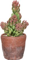 Pomax - Kunstbloem / kunstplant / artificiële plant in pot - Rood / groen / beige - ø 8,5 x 18,5 cm hoog.