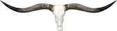 Longhoorn skull grijze hoorns zwarte uiteinden - Wanddecoratie - Muurdecoratie - Skull - Dierenschedel - Longhorn - Western - Landelijk - Sfeer - Interieur Skull - 170 cm
