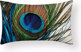 Sierkussen Peacock - Veer Long - Sierkussen - 30x50 cm - Sierkussen - Polyester