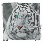 Lukana® Tijger - Diamond painting pakket - Vierkante steentjes - 40x40cm - 25 kleuren! - 5D - compleet set - ontspannen - kinderen - volwassenen