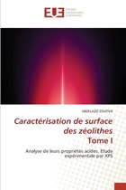 Caractérisation de surface des zéolithes Tome I