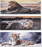 Set van 3 canvas afbeeldingen Leeuw/tijger/panter
