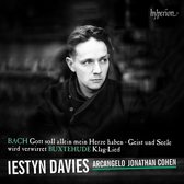 Iestyn Davies Arcangelo Jonathan Co - Cantatas Nos. 35 & 169 (CD)