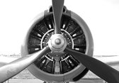 Dibond - Vliegtuig - Airplane in wit / zwart - 100 x 150 cm