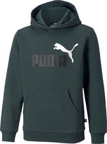 Puma Essentials+ 2 Col Big Logo Trui Groen Kinderen - Maat 140