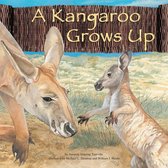 Wild Animals - A Kangaroo Grows Up