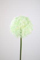 Kunstbloem - set van 2 - Allium - decoratieve tak - 70 cm -groen