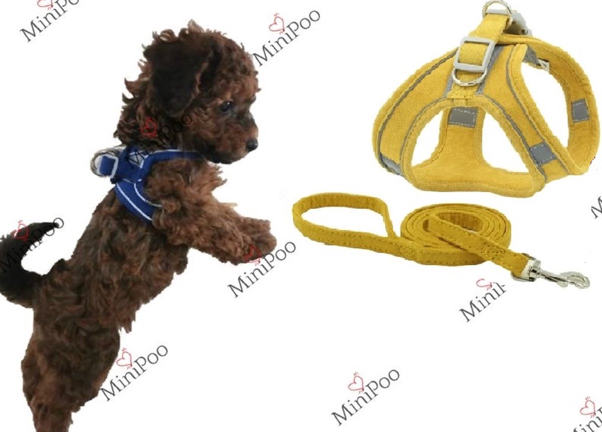 JAXY Harnais pour chien - Harnais pour chien - Harnais pour petit chien -  Harnais en Y