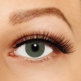 Kleurlenzen - Vegas Green - jaarlenzen met lenshouder - Beauty Fashionlens