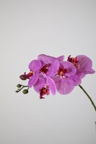 Kunstbloem - set van 2 - Phalaenopsis orchidee - decoratieve tak -  46 cm - paars