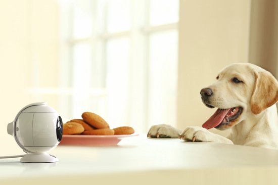 Focus89-W camera - 1080 HD - wifi - 360° pan - wit — afbeelding 5