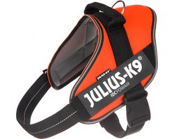 Julius-K9 IDC®Powair-tuig, XL - maat 2, oranje