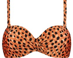 BEACH LIFE - leopard spots bandeau bikinitop - Oranje - Zwart