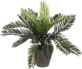 Palmier Artificiel Cycas Vert - H 33cm - Pot décoratif en céramique - Décorations Mica