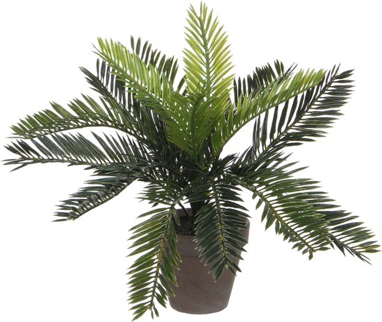 Palmier Artificiel Cycas Vert - H 33cm - Pot décoratif en céramique - Décorations Mica