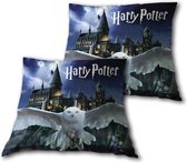Harry Potter Kussen Hogwarts Hedwig - 35 x 35 cm - Polyester