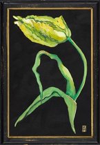 Lijstje hout zwart Franse tulp, 34x23,5cm