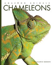 Amazing Animals- Chameleons