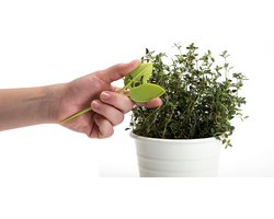 Leafers