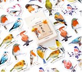45 Stickers Tuinvogels - Roodborstjes, Mezen, Vinken En Andere Vogels - B052 - Stickerdoosje - Voor Scrapbook Of Bullet Journal - Stickers Voor Volwassenen En Kinderen - Agenda Stickers - Decoratie Stickers