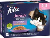 Felix - Malse Reepjes Junior - 12x85g