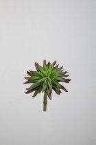 Kunstplant- Echeveria - vetplant - cactus - topkwaliteit decoratie - 2 stuks - zijden tak - Groen - 17 cm hoog