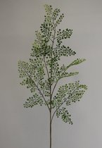 Kunsttak - Adiantum - varen - topkwaliteit decoratie - 2 stuks - zijden kunsttak- Groen - 105 cm hoog