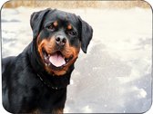 Rottweiler Muismat Rubber - Hoge kwaliteit foto van een Rottweiler - Muismat gedrukt op polyester - 25 x 19 cm - Antislip muismat - 5mm dik - Muismat met foto - heerlijk voor op ka