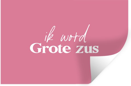 Muurstickers - Sticker Folie - Ik word Grote zus - Zussen - Grote zus