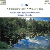 Slovak Rso - A Summer S/Winter S (CD)