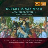 L'Arpa Festante, Capella Weilburgensis, Doris Hagel - Mayr: 'Confitebor Tibi' Psalms, Concerti, Motets (CD)