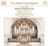 Wolfgang Rübsam - Organ Works 5 (CD)