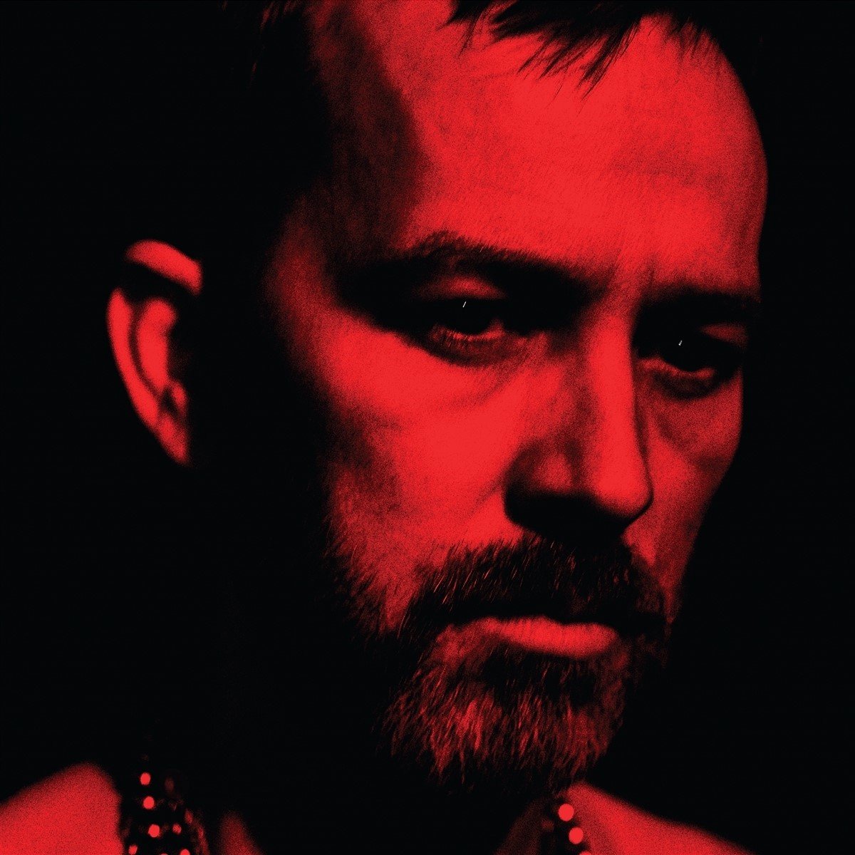 Duquette Johnston - The Social Animals (LP)