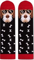 ORGANISCH KATOEN HOND SOKKEN, FOX TERRIER, ARTY SOCKS, 43-46