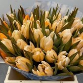 Verse Tulpen -  Orange - 50 stuks