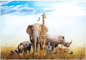 Zelfklevend fotobehang - Fauna of Africa.