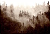 Zelfklevend fotobehang - Mountain Forest (Sepia).