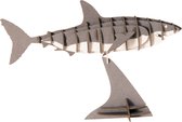3D Paper Model - Haai