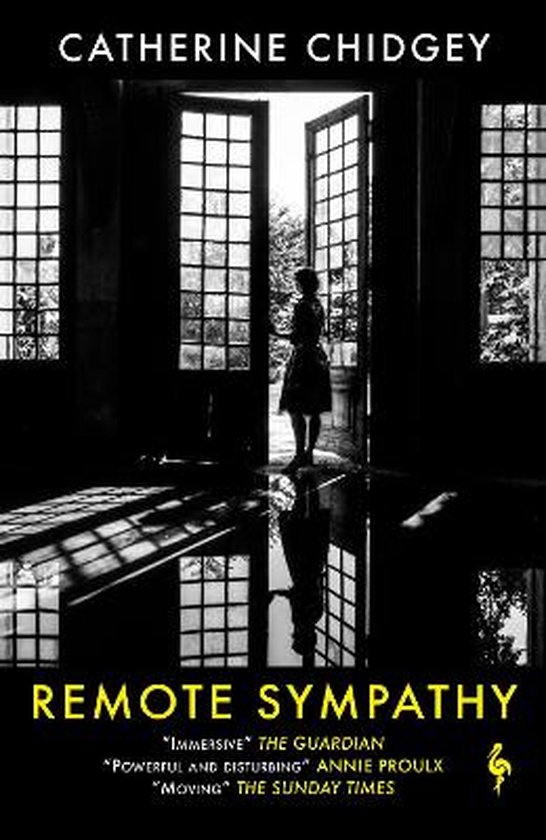 Remote Sympathy LONGLISTED FOR THE WOMEN'S PRIZE FOR FICTION 2022