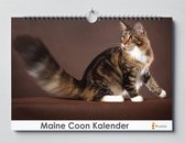 Maine Coon verjaardagskalender | 35 X 24CM | Verjaardagskalender katten | Kattensoort Maine Coon | Verjaardagskalender Volwassenen