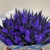 Verse Tulpen -  Violet - 50 stuks